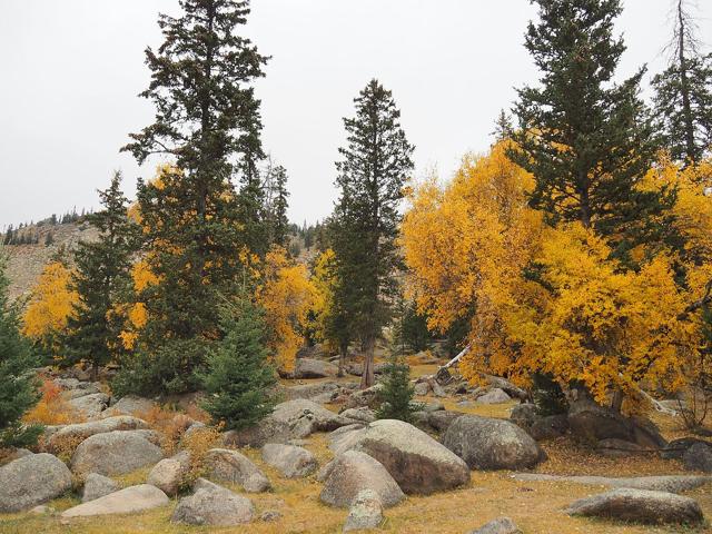 Bogd Khan Mountain